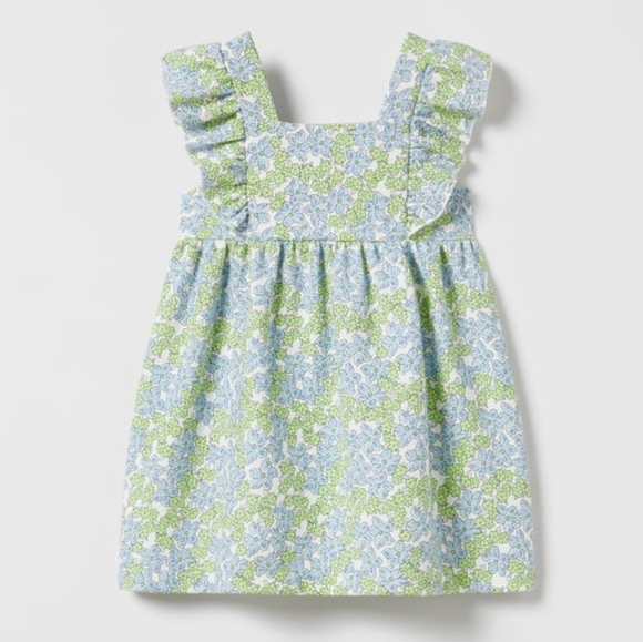 Zara Other - Zara | Printed Floral Jacquard Dress